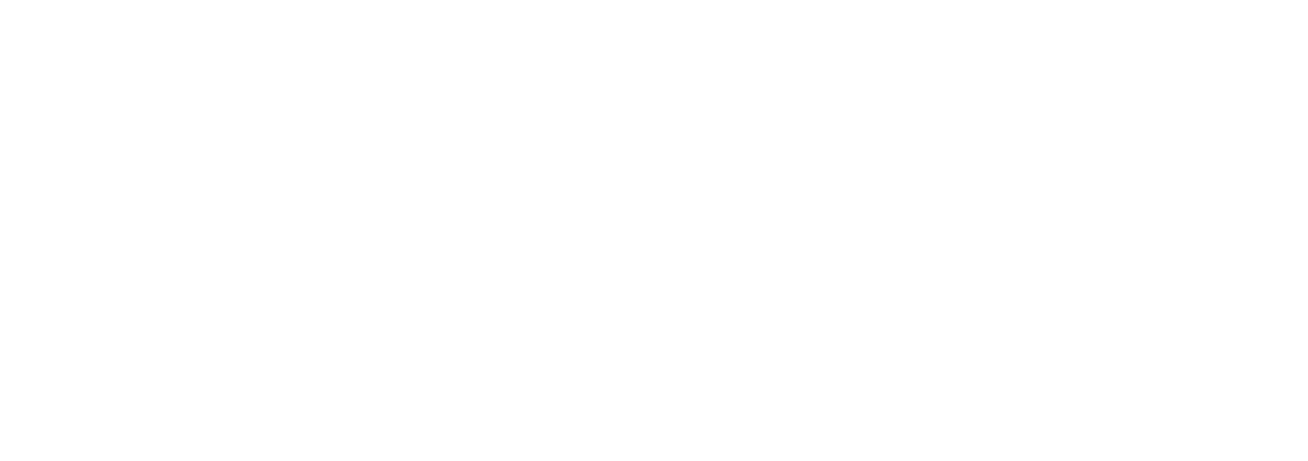 Turtle Lanka