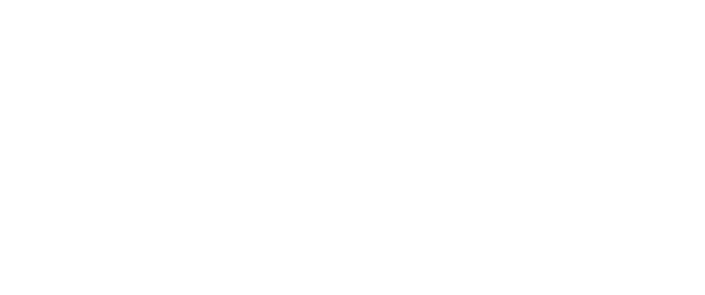 Turtle Lanka Tours